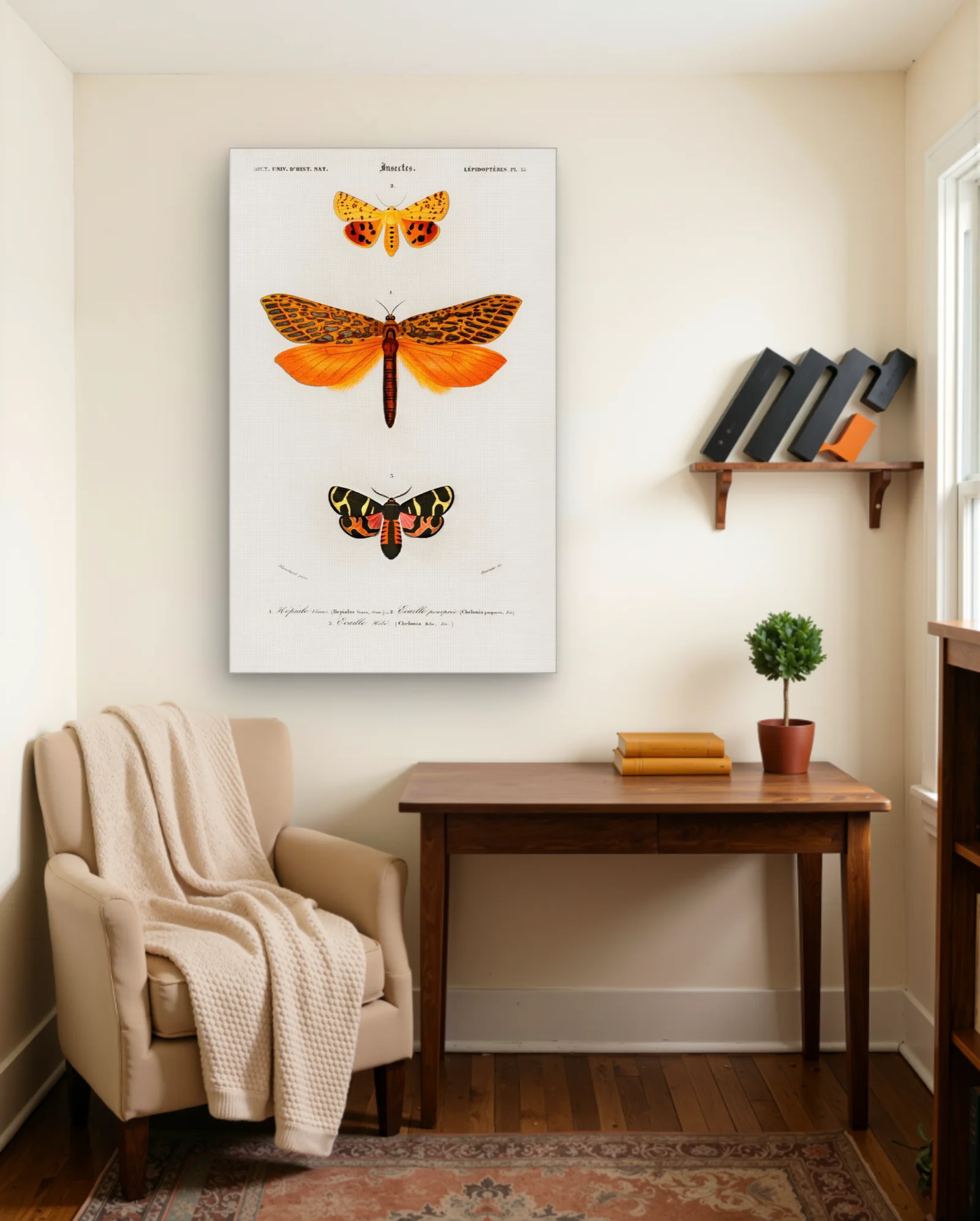 Hepialus Venus Antique Moth Wall Art — framed wall art poster by Memocult