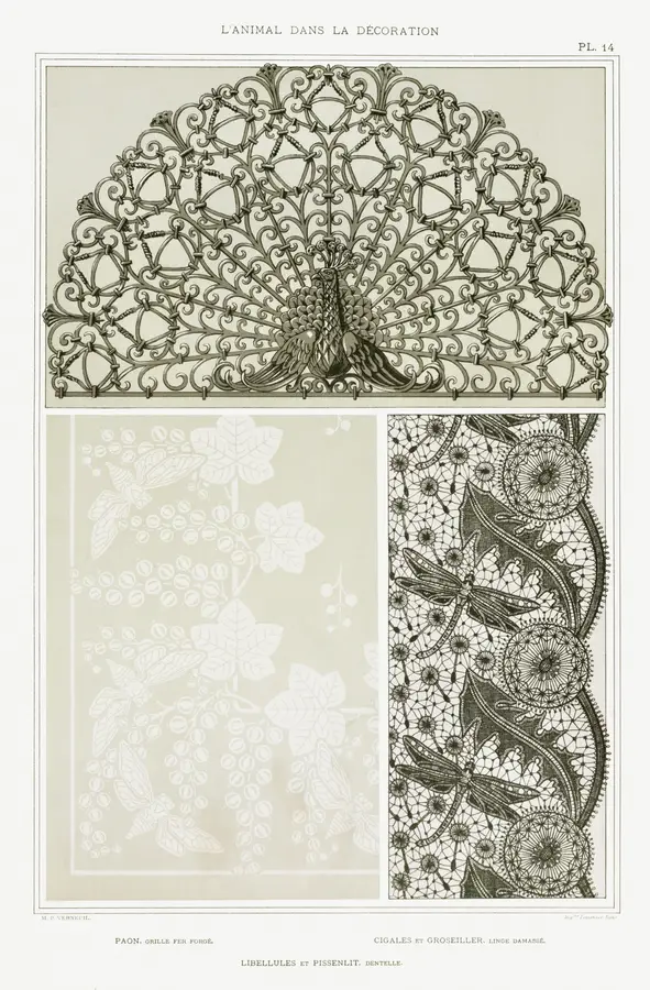 Art Nouveau Peacock Dragonfly Lace Art Print — Memocult