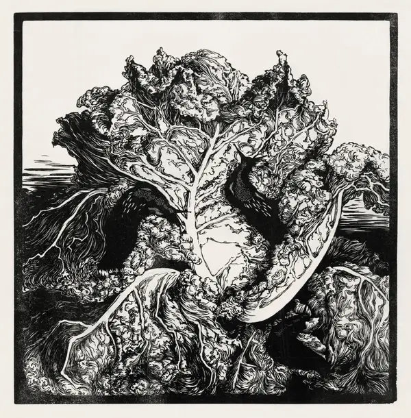 Three Slugs on a Cabbage by Julie de Graag — B&W poster — Memocult