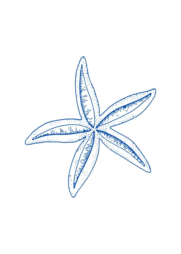 Blue Line Starfish Sketch Wall Art — Memocult