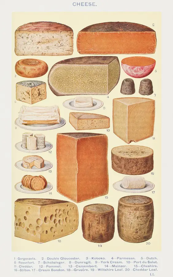 Vintage Cheese Varieties Chart Wall Art — Memocult
